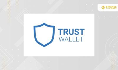 ¿Cómo transferir de Binance a Trust Wallet?